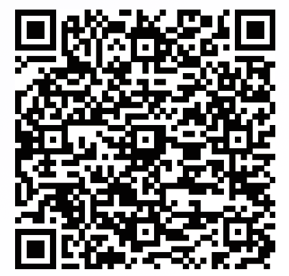 UPI QR Code — Braxik